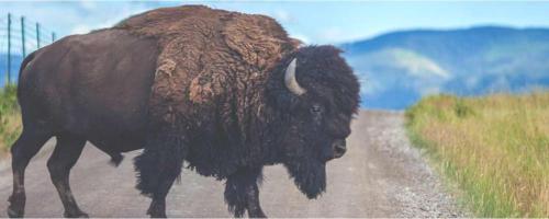 Michael Musyoki Muthui