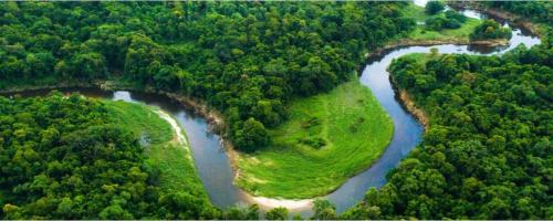 Temalangeni Minenhle Dlamini